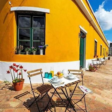 Casa Amarela Alojamento Local メルトラ エクステリア 写真